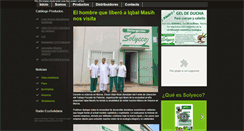 Desktop Screenshot of detergentessolyeco.com